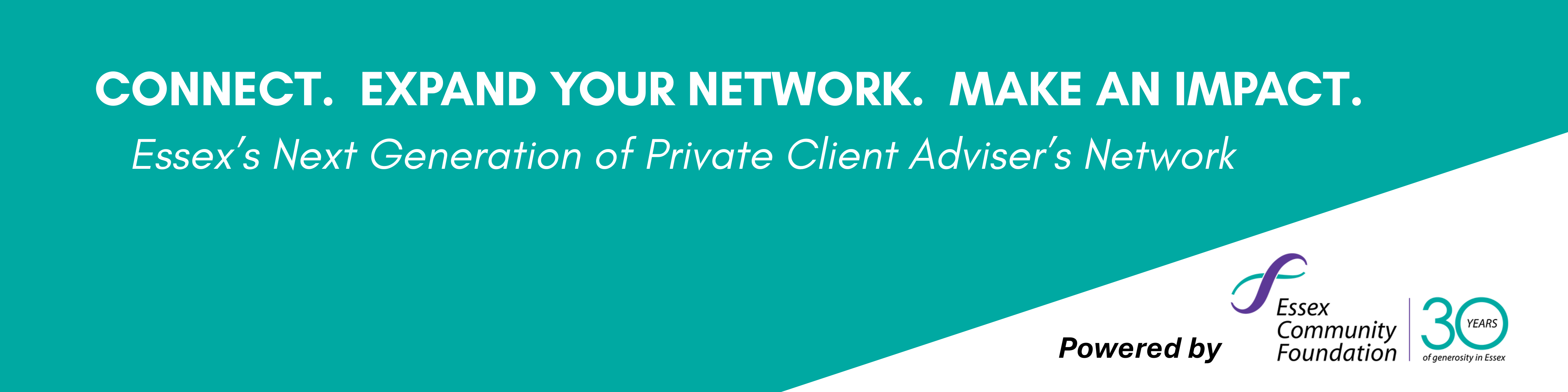 ECF Next Gen Banner Logo